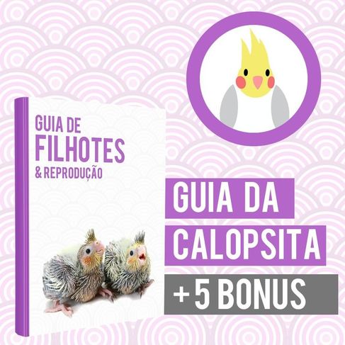 Calopsitas - Guia da Calopsita Completo + 5 Bonus