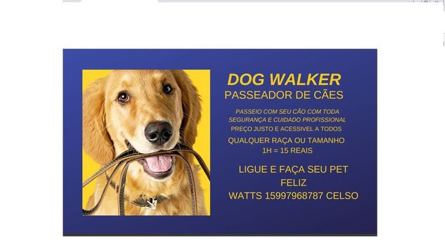 Dog Walker (passeador de Cães)