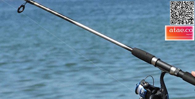 Nova Vara Marca Marine Boy 180 de Pesca Fibra de Carbono para Molinete