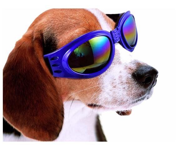 óculos de Sol P/cães com Ultra Proteção Uv Cor Azul/vermelho