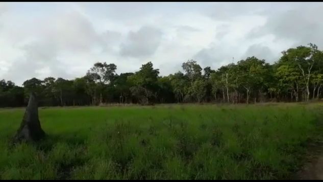 Fazenda no Mato Grosso para Criar Gado
