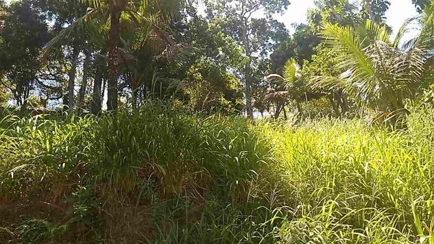 Maricá Bambui Terreno