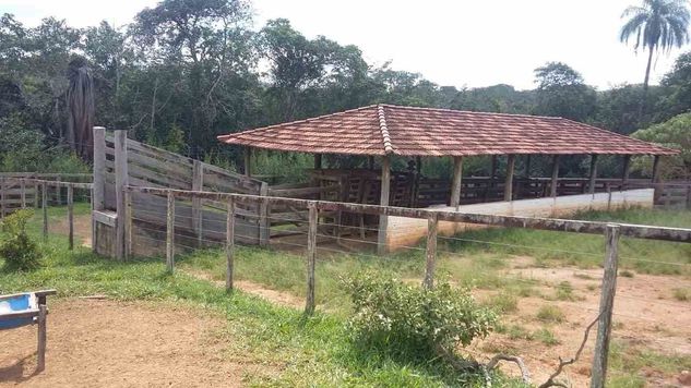 Fazenda à Venda em Varjão de Minas com 688,76 Hectares