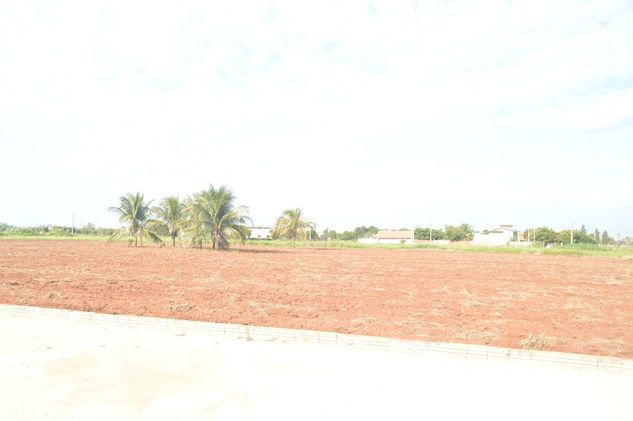 Vendo Terrenos de 1000 m2 Próximo ao Rio Paraná