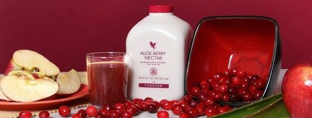 Berry Plus - Kit Econômico de Aloe Berry Nectar