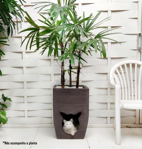 1 Vaso de Planta Casinha Cama Gato Pet Cat Dog 60x40