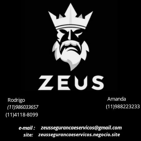 Zeus Segurança e Serviços
