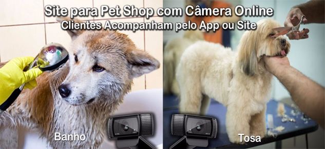 Site para Pet Shop com Camêra Online Via App e Site