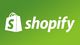 Loja Shopify Completa, Loja Dropshipping (profissional)