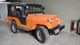 Jeep Willys Cj5 1961: Foto 1/7