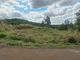 Chácara de 5.000 MT em Frente a Estrada da Cegonha: Foto 1/7