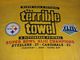 The Terrible Towel (super Bowl Xliii) 2009 Steelers: Foto 5/5