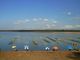 Balneário Lago dos Cisnes Valor a Vista a Partir de $34.000,00