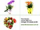 Catas Altas da Noruega, Bonfim, Betim Floricultura Flores Cestas Coroa