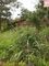 Vendo um Exelente Terreno no Portal do Iguape