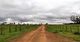 Fazenda Dupla Aptidão área 6.700 Ha em Cassilândia - MS
