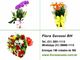 Floricultura Contagem Comprar Flores Online Contagem MG