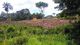 Terreno para Alugar, 40000 m² por RS 10.000,00-mês - área Rural - Manaus-am